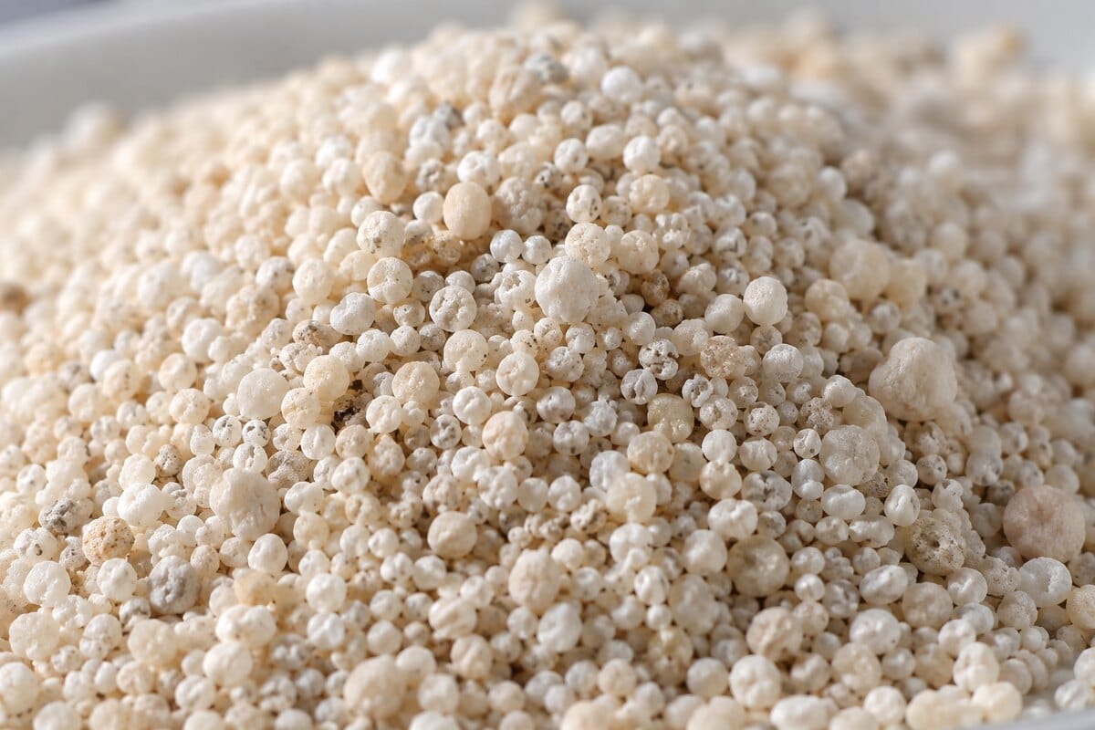Close-up of rounded, off-white oolitic aragonite sand grains